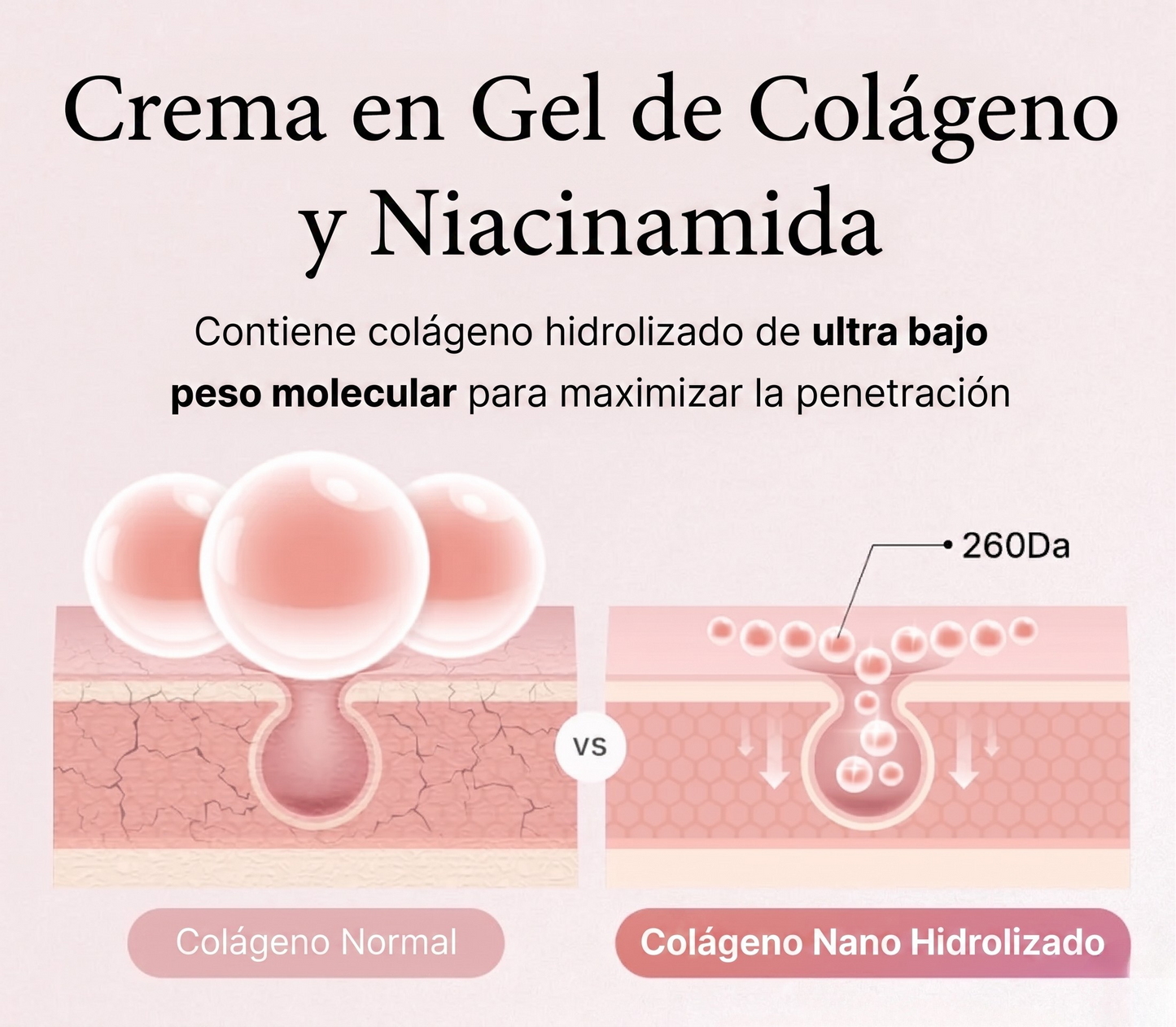 Gelatina Colágenos, elimina tus arrugas en 21 días | LIVEA+